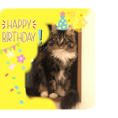 chisa_20230602172604