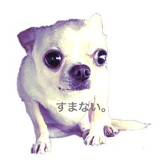 Tonttu_20230602181106