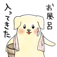 おんせん犬