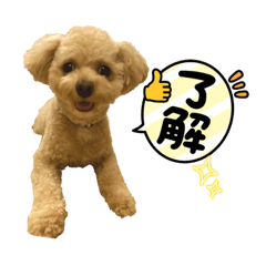 misa_20230602193636