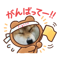 kuu_20230602195705