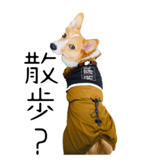 _20230602232504