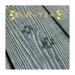 Hana_20230602181815