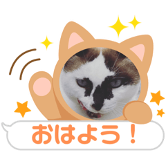 Aoi_20230603110736
