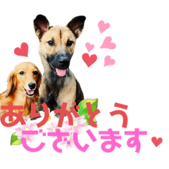 hana_20230602234609