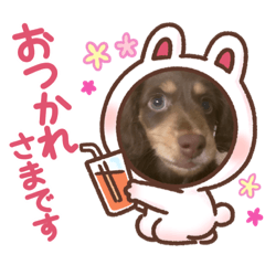 melmi_20230603122312