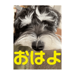 suzu_20230603133717