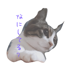 Purik_20230603000638