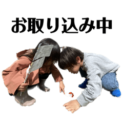 sakura_20230603005148