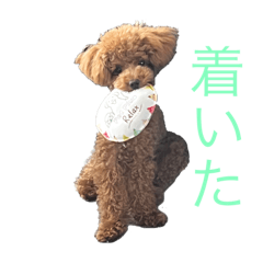 nao_20230603143317