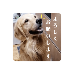 HIKARI_20230603161247