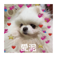 妮の日常用語