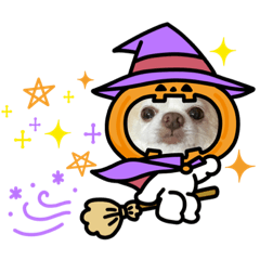 うちのモンターニャ一家