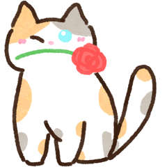 Calico cat : Name is Moji