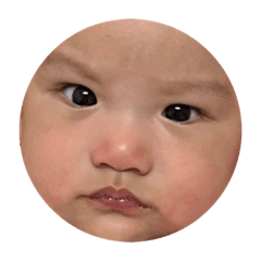 YUN_20230604011325