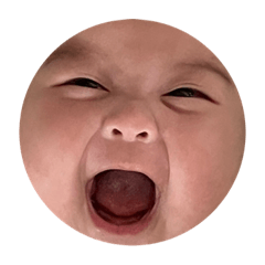 Fei表情包2