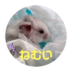 yuka_20230604014751