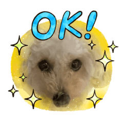 kinaco_20230603184555