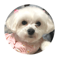 saori_20230603202024