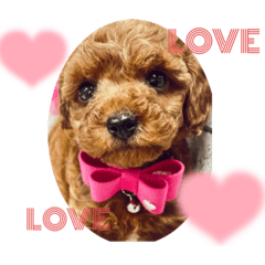 saori_20230603201921