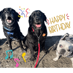 kikurin_20230603192257