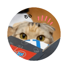 HIKARI_20230603224153