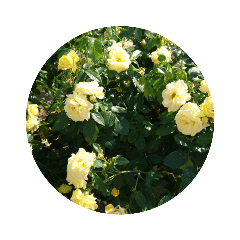 smile_20230603205432