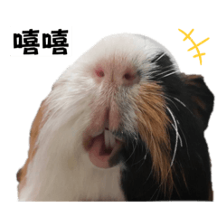 夢幾在哪ㄦ
