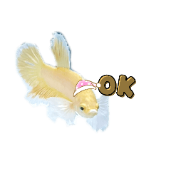 Kuu_20230604142247
