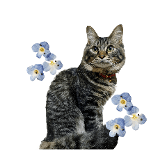 saori_20230604175707