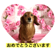 Arisa_20230605095041