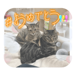 Nozomi_20230604181704