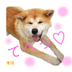 mizuki_20230604193551