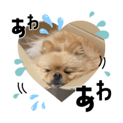 Aoi_20230604191409