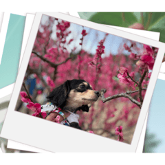 POALO_20230604200157