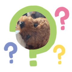 saori_20230604220445