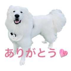Hikaru111026