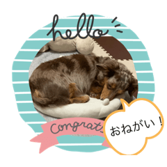 Sakura_20230604205916