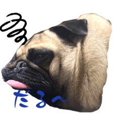 shiho_20230605142808