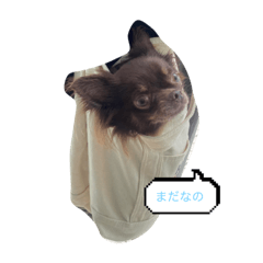 nao_20230605133743