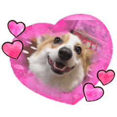 Hiyori_20230605162350