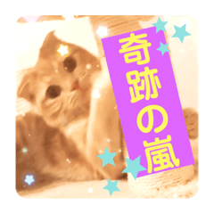 Victoria Wonder_20230605114631