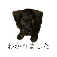 So_20230605171005