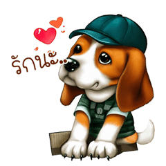 Beagle Dog Funny