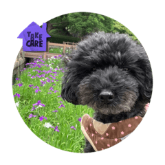 SAYURI_20230605192858