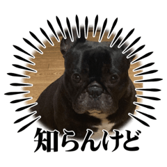 Hikaru_20230605195532