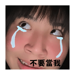 吉娃娃之特輯