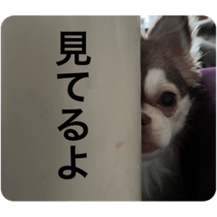 suzu_20230605214609