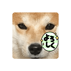 raku_20230605225107