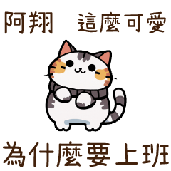 Cat Guide2Ah Xiang69